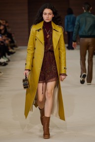 Look 15