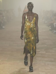 Look 39