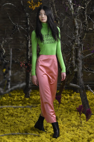 Look 11