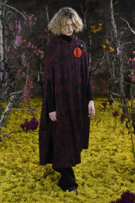 Look 50