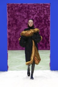 Look 31